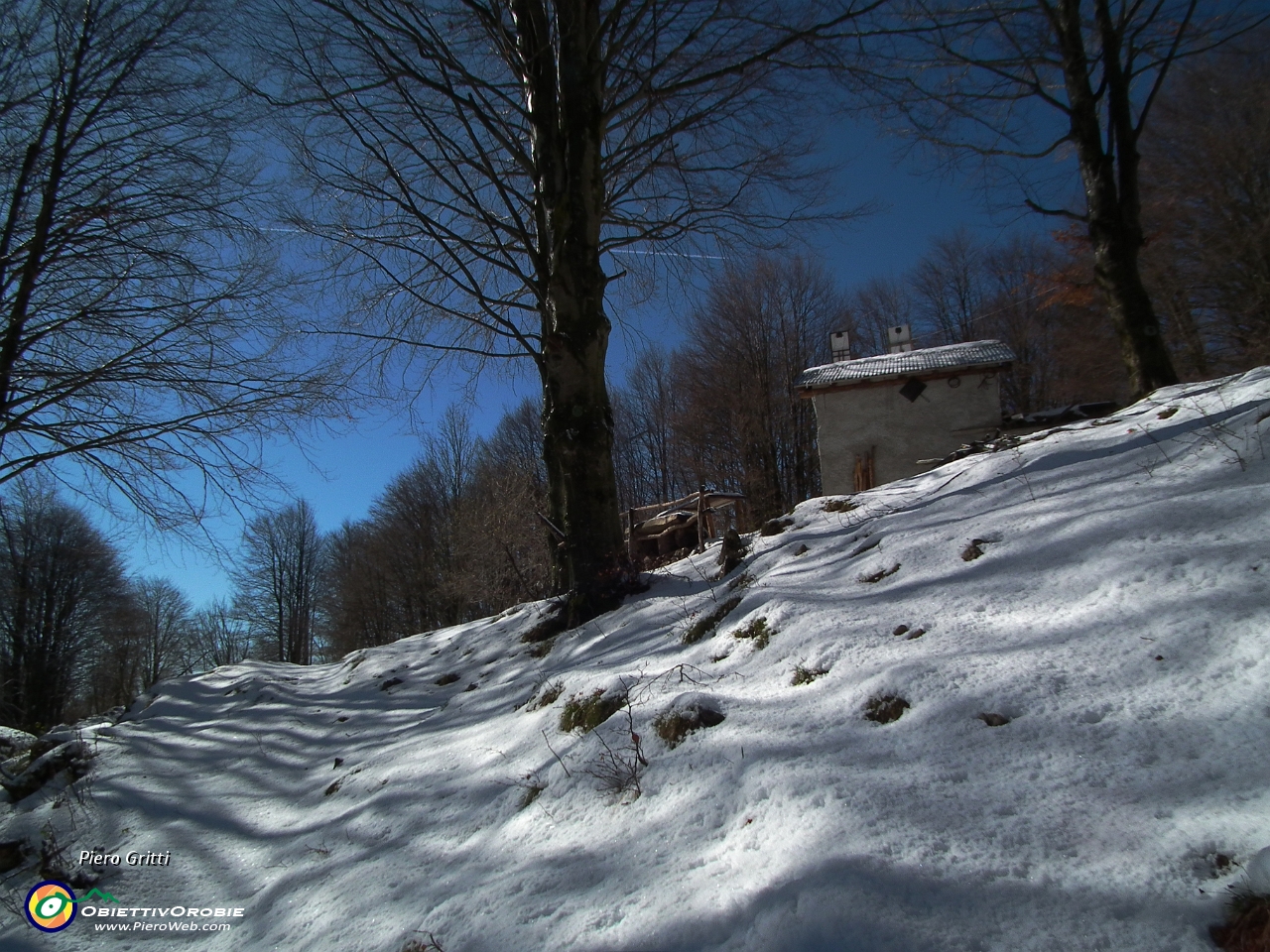 50 15 cm. di neve intonsa....JPG